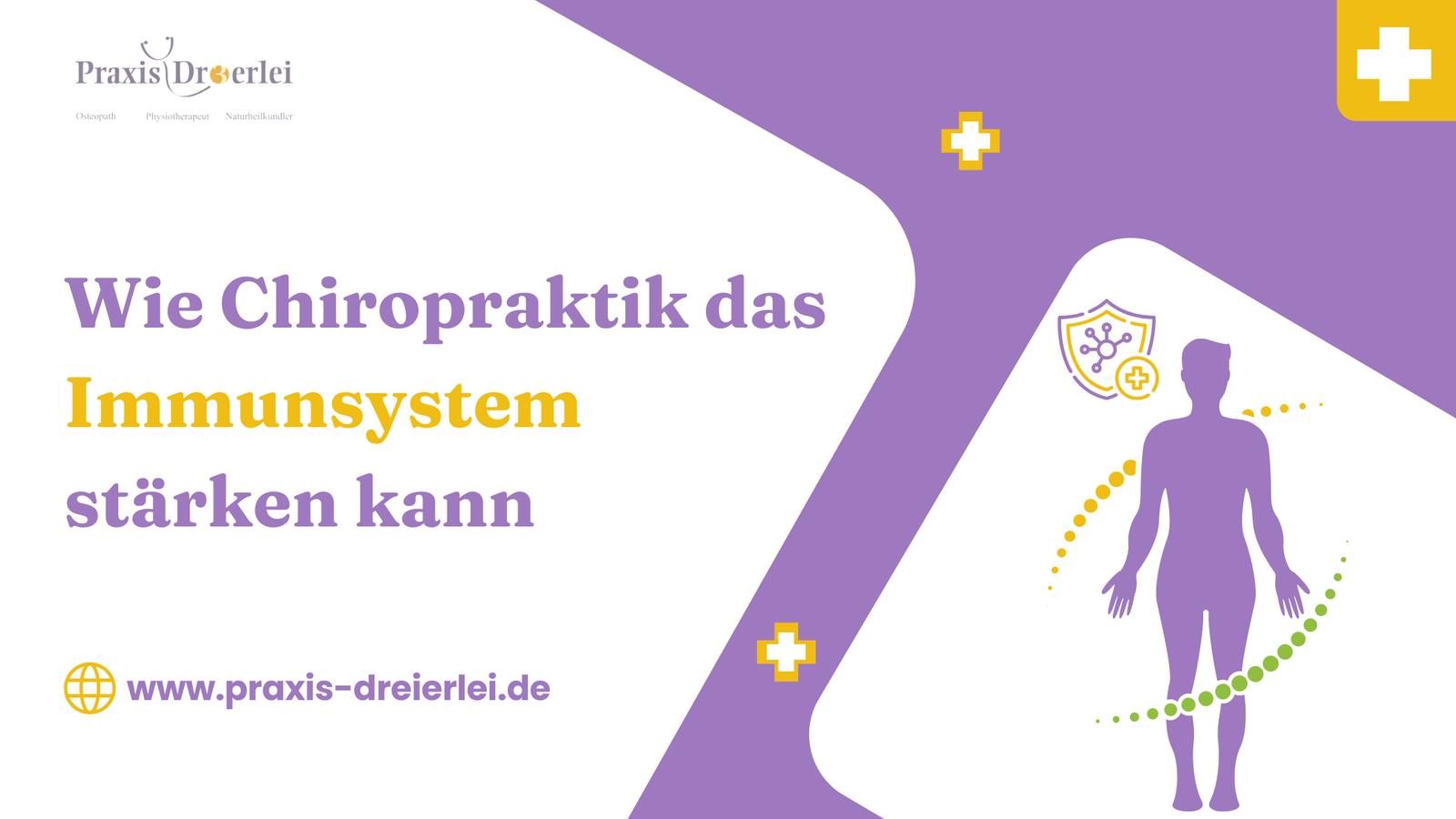 Wie Chiropraktik das Immunsystem stärken kann